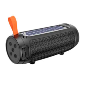 Speaker Wireless Bidellu DV-215 LED Flashlight FM Radio